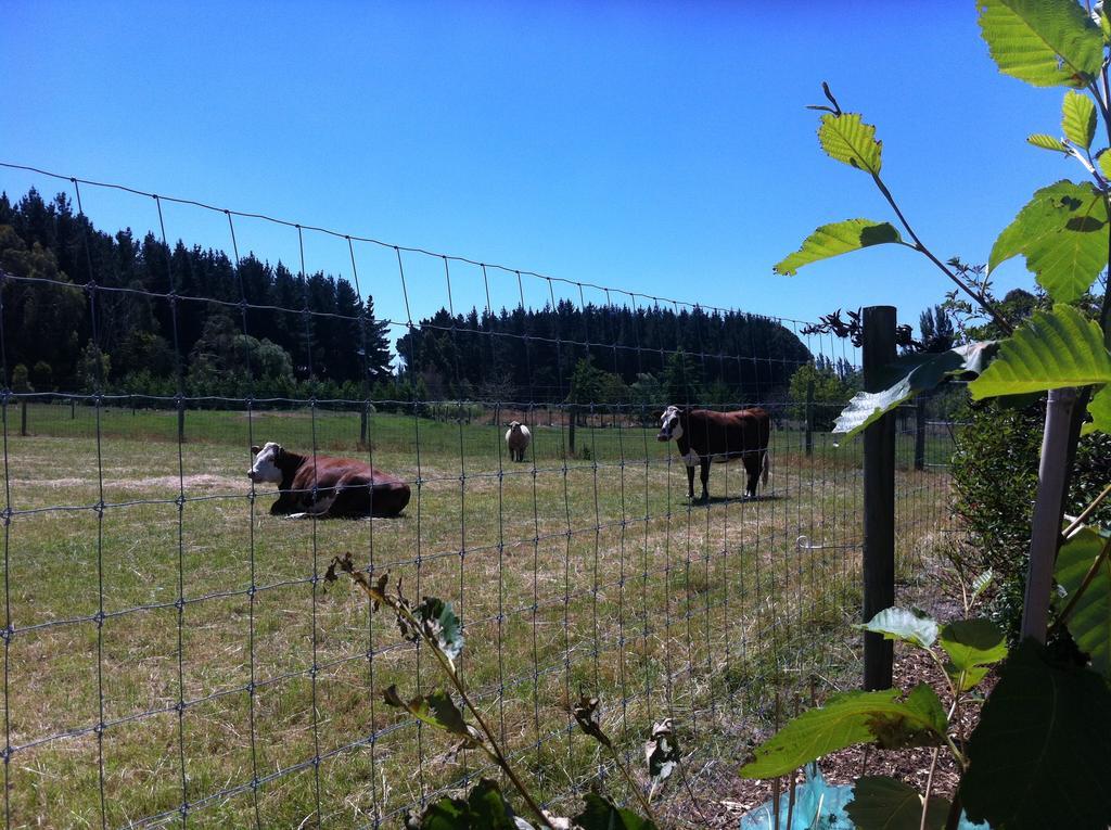 The Meadows Villa Christchurch Bagian luar foto