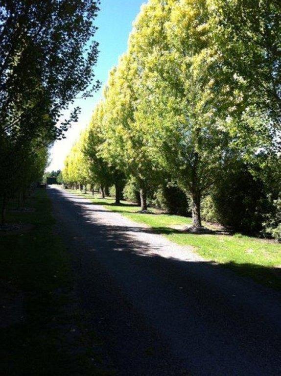 The Meadows Villa Christchurch Bagian luar foto