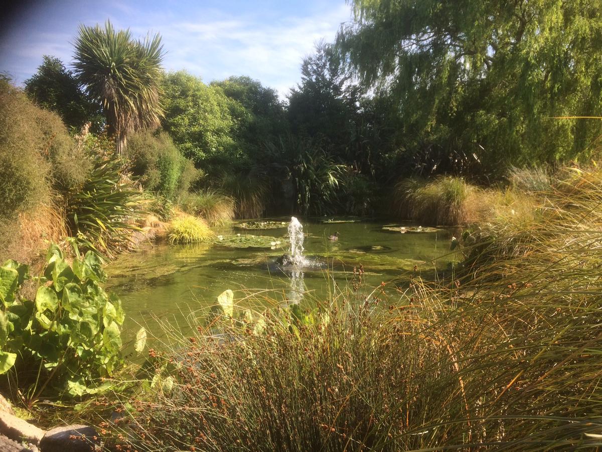 The Meadows Villa Christchurch Bagian luar foto